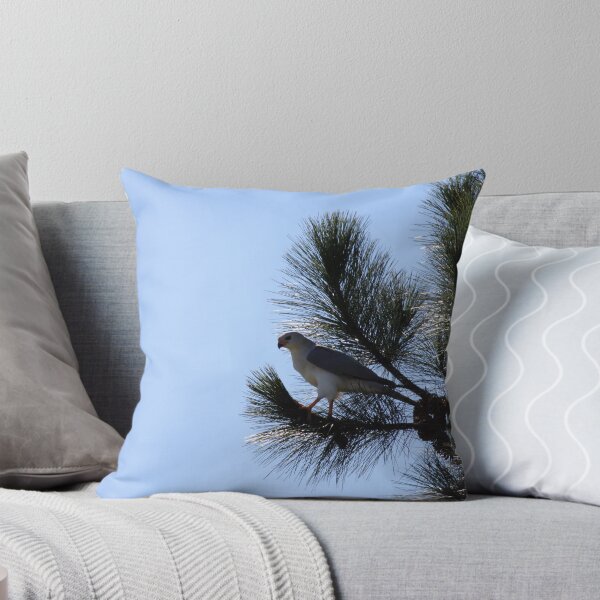 Item preview, Grey Goshawk designed and sold by Matt  Harvey.