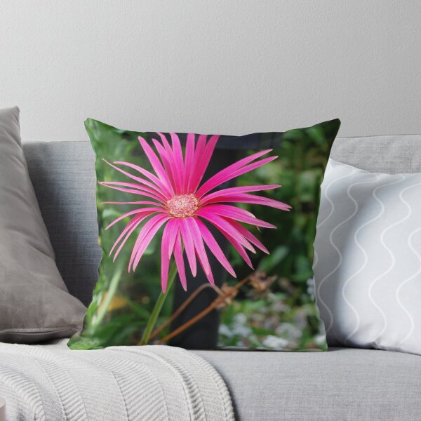 Item preview, Pride of Place designed and sold by Jenni Greene.