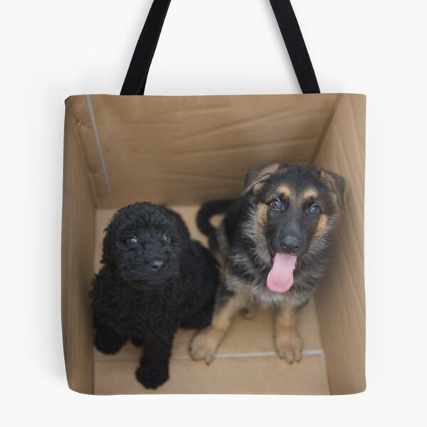 Item preview, In the box designed and sold by Zachary Golus.