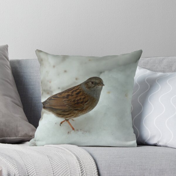 Aperçu de l'œuvre Dunnock In The Snow créée et vendue par Robert Abraham.