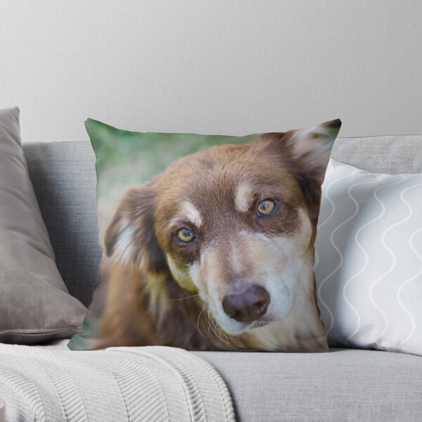 Item preview, Windows to the soul designed and sold by -gila-.