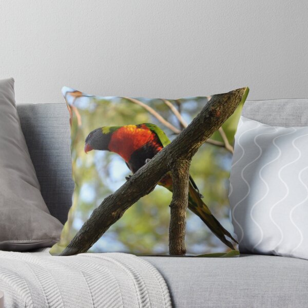 Item preview, Rainbow Lorikeet sitting on a Branch designed and sold by rjmp.