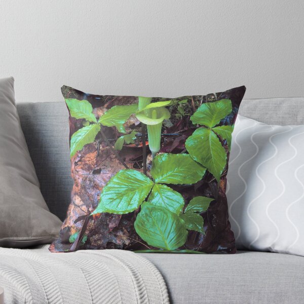 Item preview, JACK IN THE PULPIT designed and sold by Chuck Wickham.