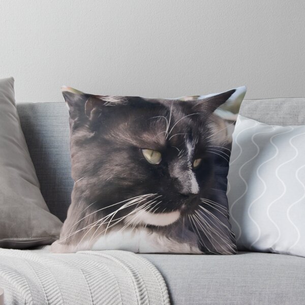 Item preview, Pyewacket Sunning Himself In Florida designed and sold by Memaa.