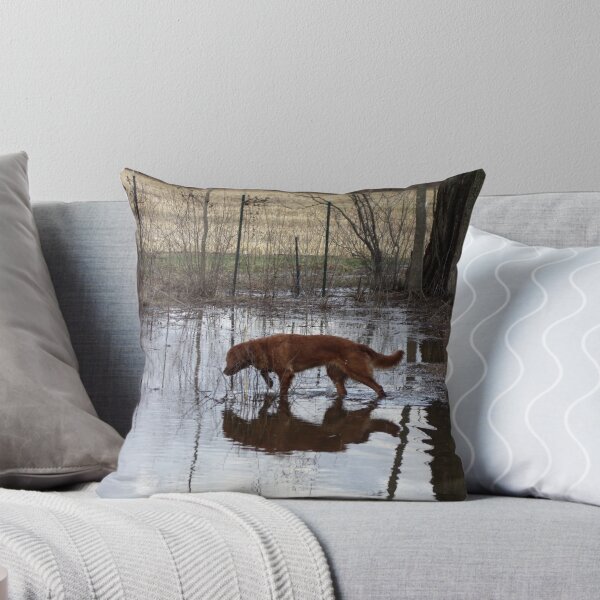Item preview, Reflections of Penelope - '10 designed and sold by goldnzrule.