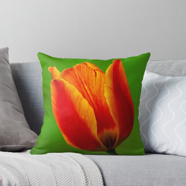 Artikelvorschau, tulip beautyII entworfen und verkauft von Rodney55.