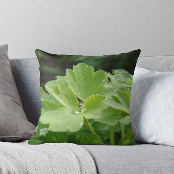 Item preview, Dew Droplets - Early Morning in Marrawah designed and sold by SarahLucy.