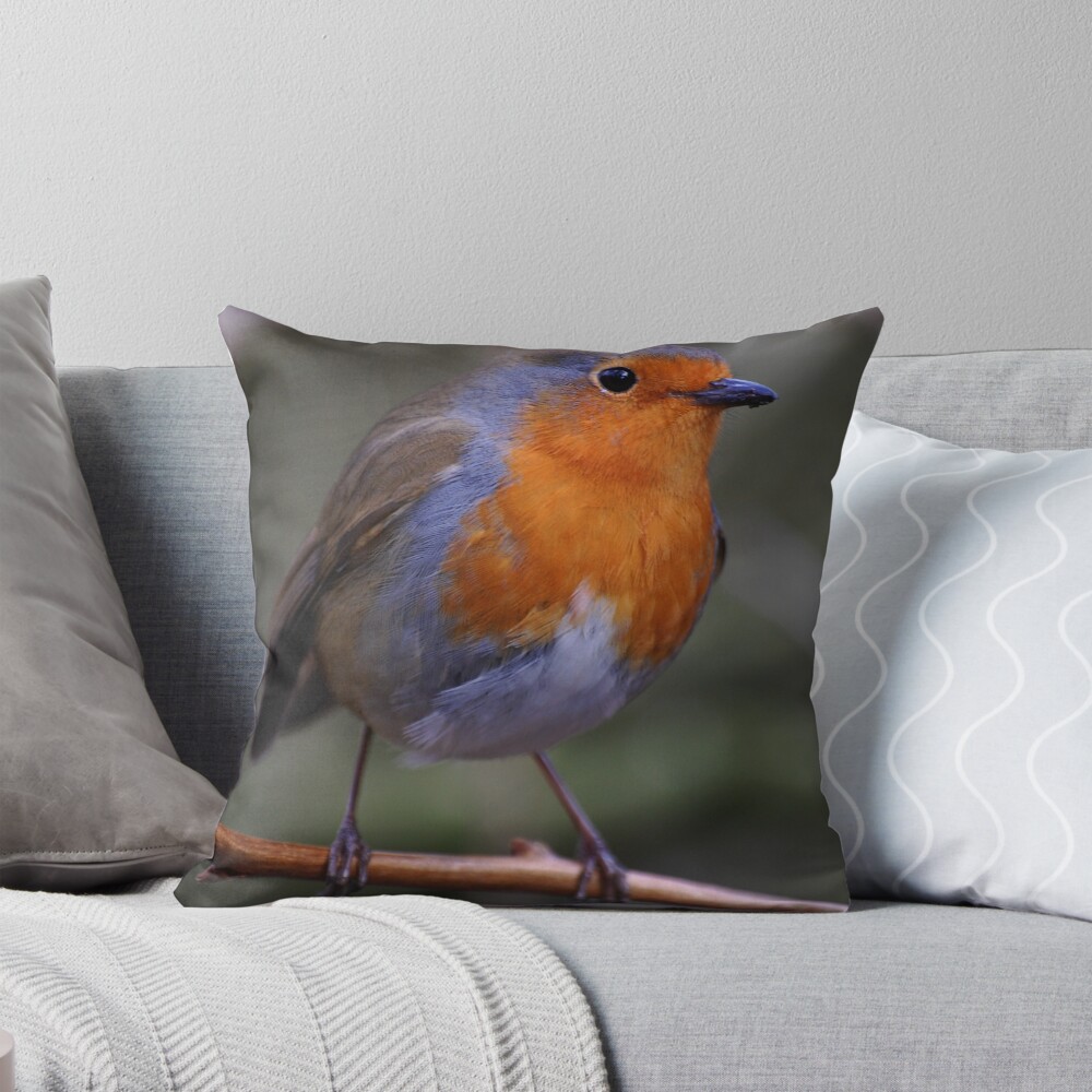 Item preview, Throw Pillow designed and sold by declancarr.