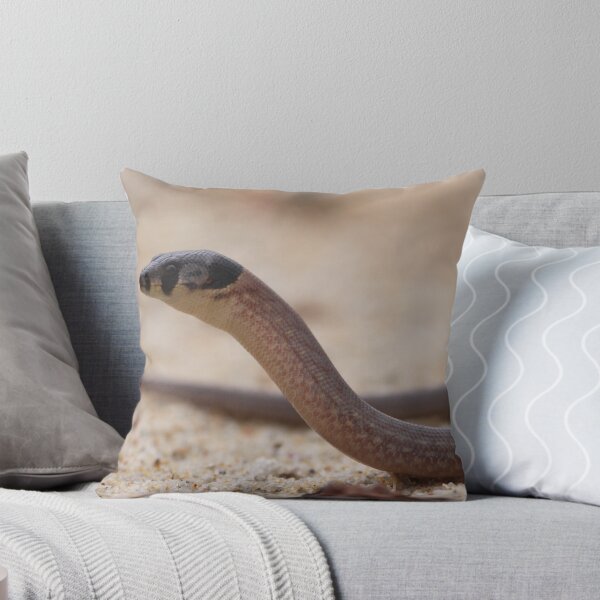 Item preview, Legless Lizard designed and sold by Steve Bullock.