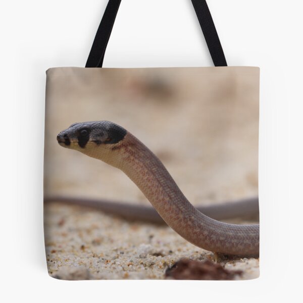 Item preview, Legless Lizard designed and sold by Steve Bullock.