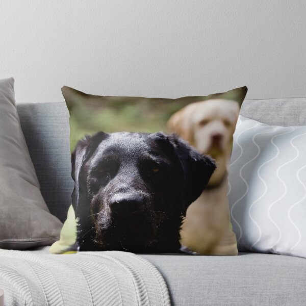 Item preview, Brothers designed and sold by Carol Ritchie.