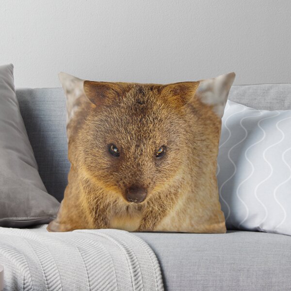 Quokka ~ Rottnest Island Throw Pillow