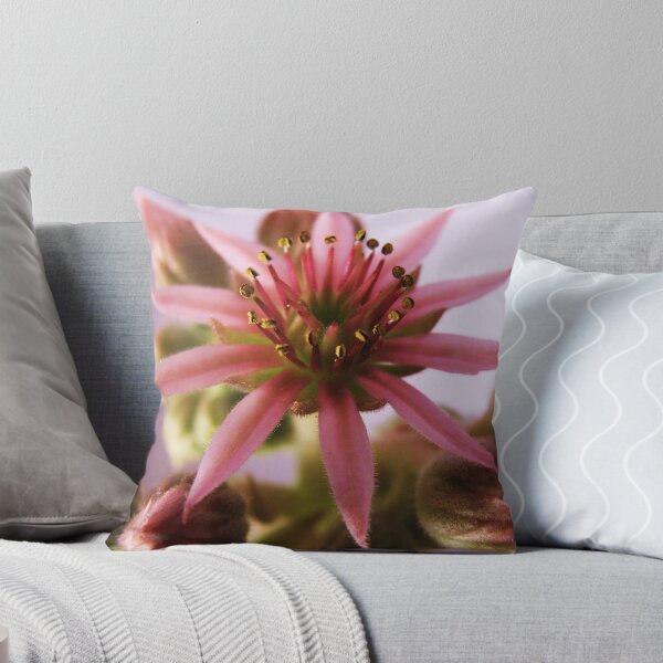 Item preview, Pink Succulent designed and sold by TracyD.
