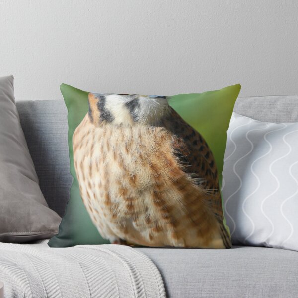 Item preview, American Kestrel designed and sold by Barbara Manis.