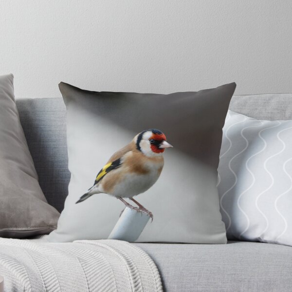 Aperçu de l'œuvre Goldfinch  créée et vendue par Declan Carr.
