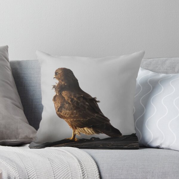 Item preview, Common Buzzard 4 designed and sold by DutchLumix.