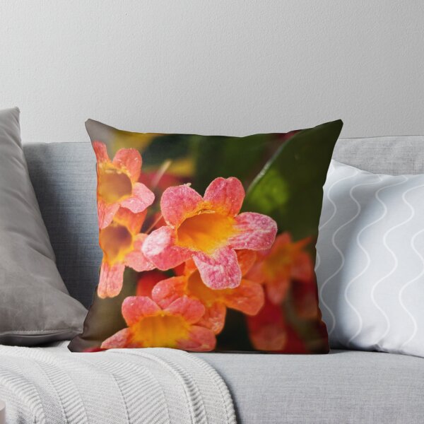 Item preview, Coral Beauties designed and sold by SESE.