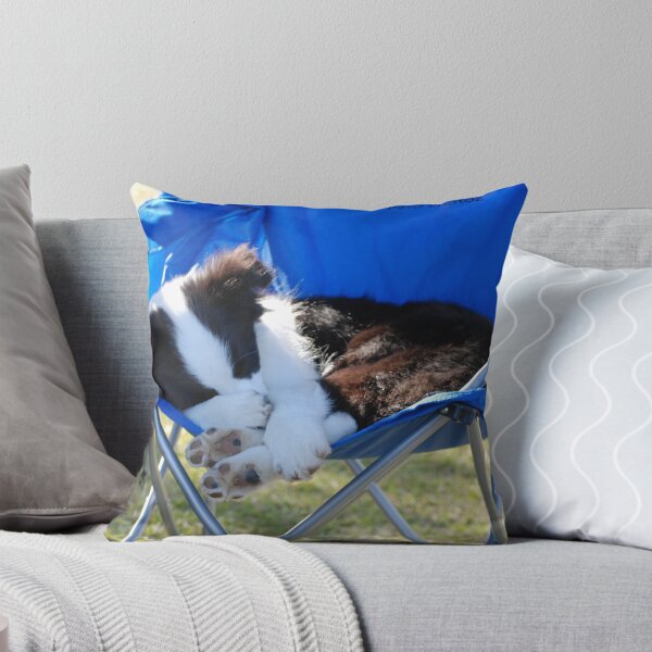 Item preview, A hard day at the Dog Show designed and sold by Penny Brooks.