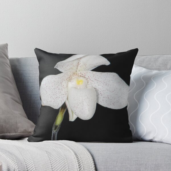 Item preview, Paph Dr. Jack designed and sold by larie200.