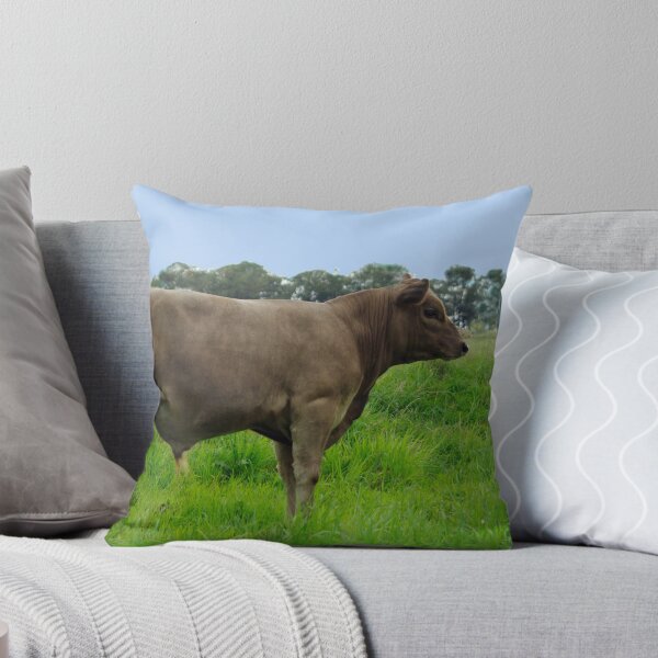 Item preview, HE'S A STUD. designed and sold by Helen Akerstrom Photography.