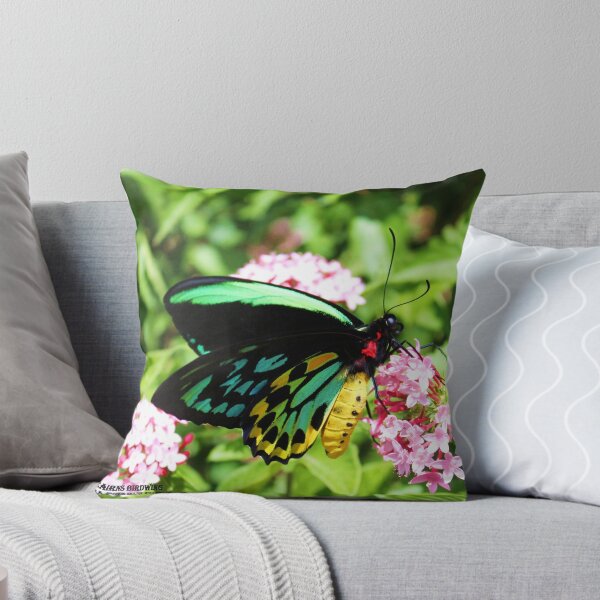 Item preview, Male Cairns birdwing designed and sold by robmac.