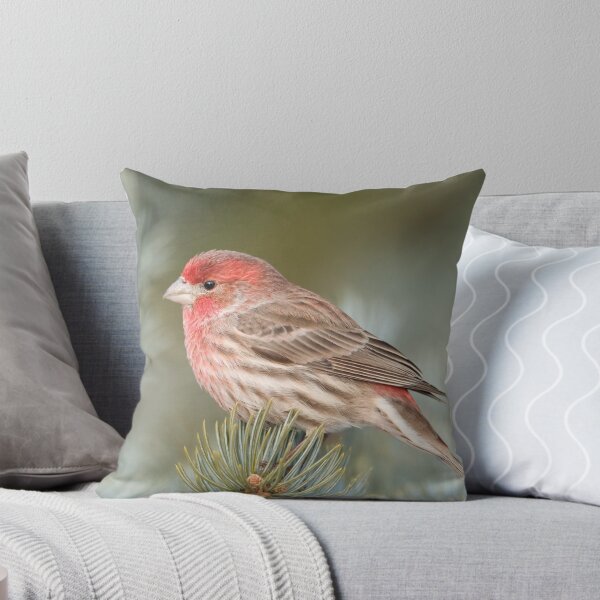 Item preview, Pretty House Finch designed and sold by Daniel  Parent.