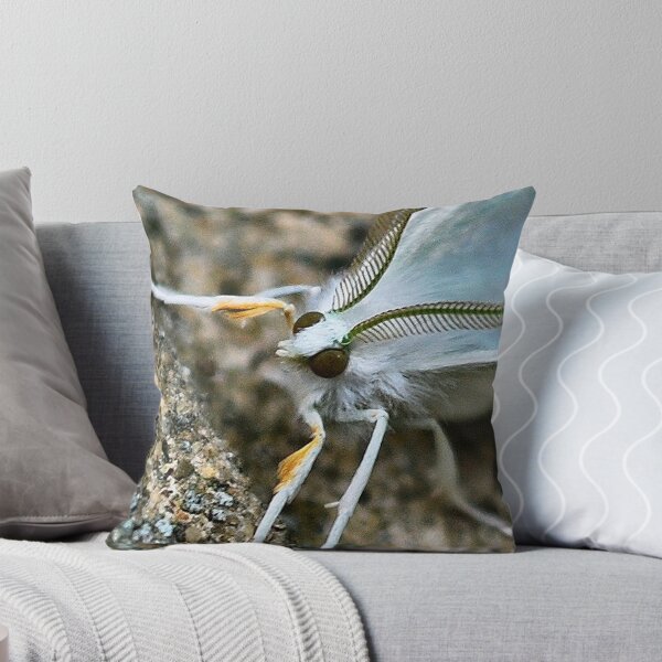 Item preview, White Moth designed and sold by Sheri Nye.
