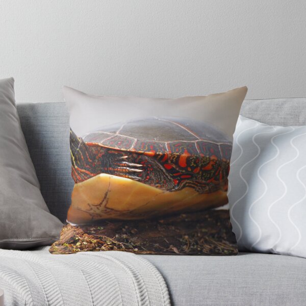 Item preview, Painted Turtle designed and sold by Daniel  Parent.