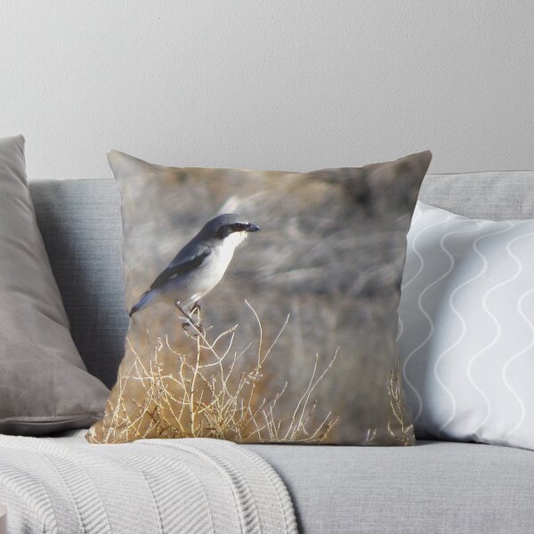 Item preview, Loggerhead Shrike designed and sold by Luck of the Shutter.