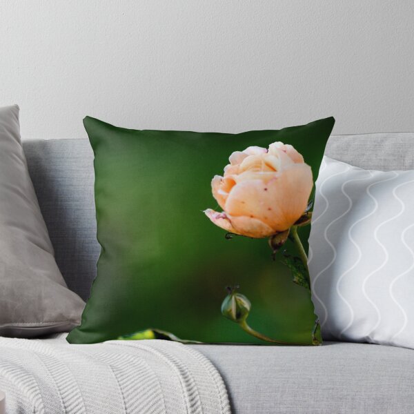 Item preview, Peach Rose designed and sold by jennimarshall.