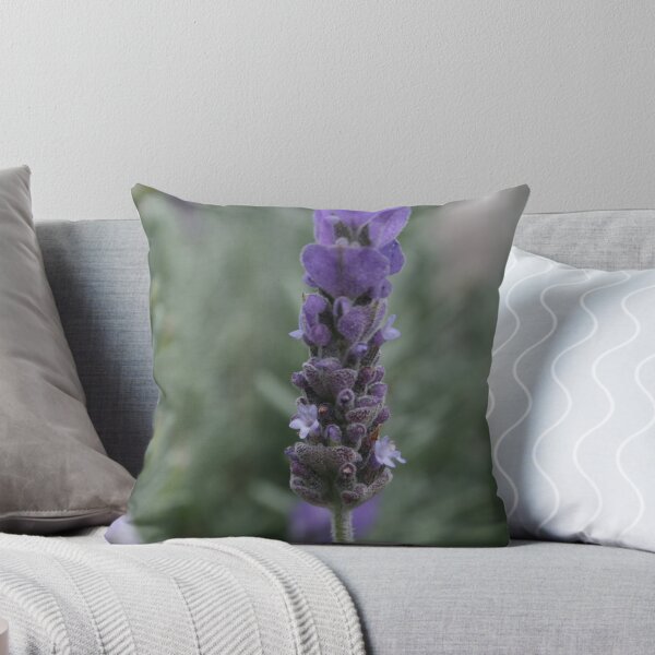 Item preview, Lavender designed and sold by hedgie1.