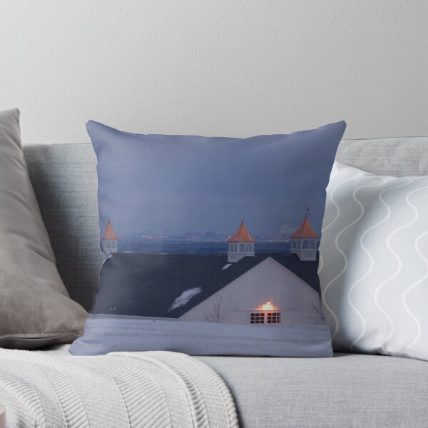 Item preview, Just a shack with a view of Toronto designed and sold by deville.