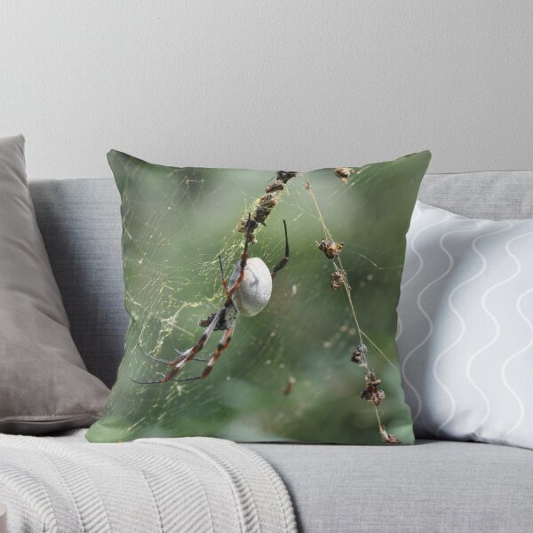 Item preview, Check Out This Fat Spider designed and sold by MissyD.