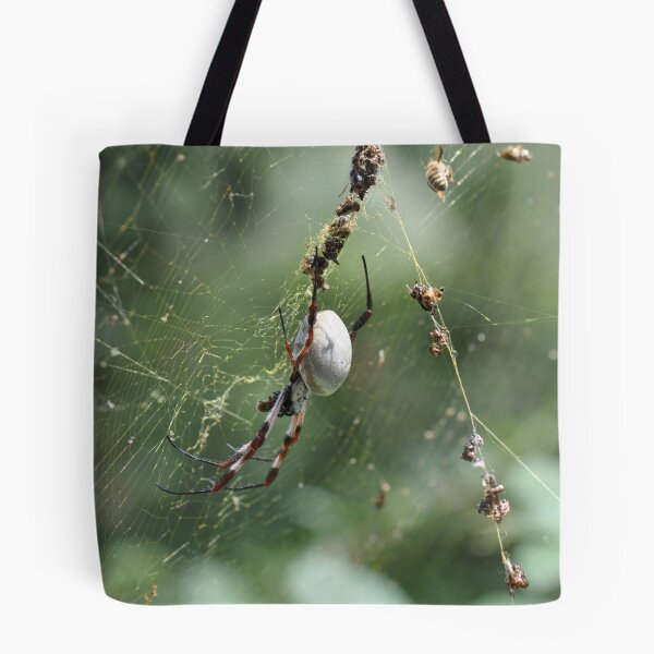 Item preview, Check Out This Fat Spider designed and sold by MissyD.