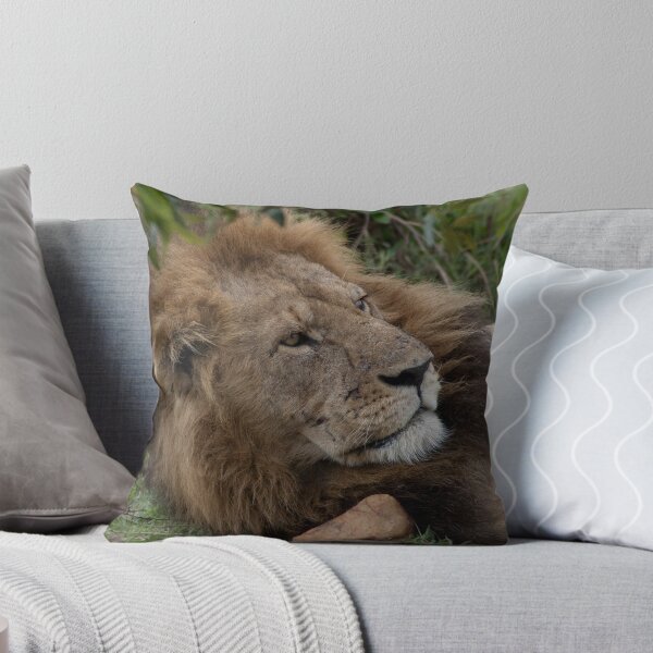 Aperçu de l'œuvre Male Lion resting créée et vendue par Geoff Stone.