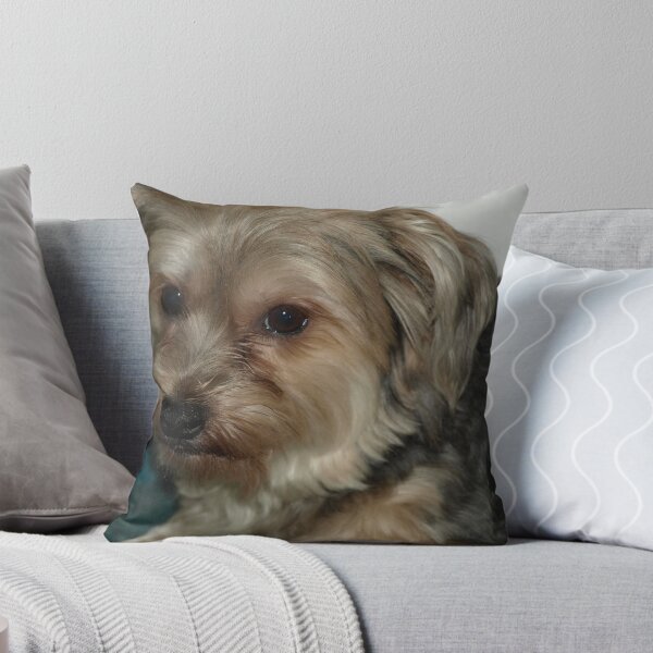 Item preview, MAX MY DOG designed and sold by AussieColin.