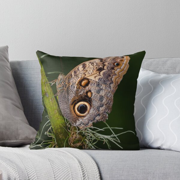 Item preview, Butterfly on Branch designed and sold by (Tallow) Dave  Van de Laar.