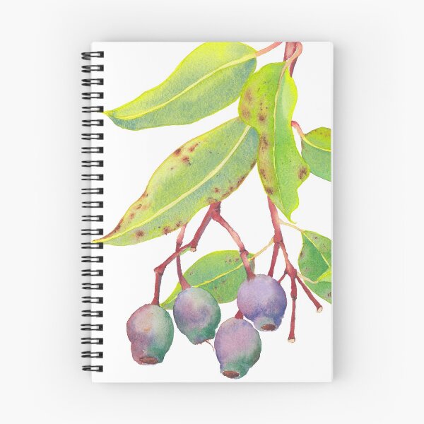 Item preview, Gum tree branch with gumnuts - watercolour designed and sold by Zoya Makarova.