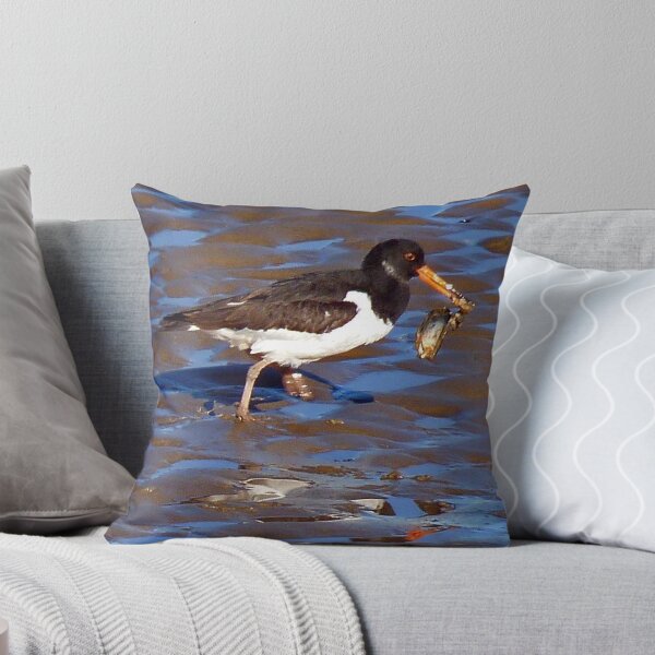 Item preview, Oyster Catcher, Conway designed and sold by artfulvistas.
