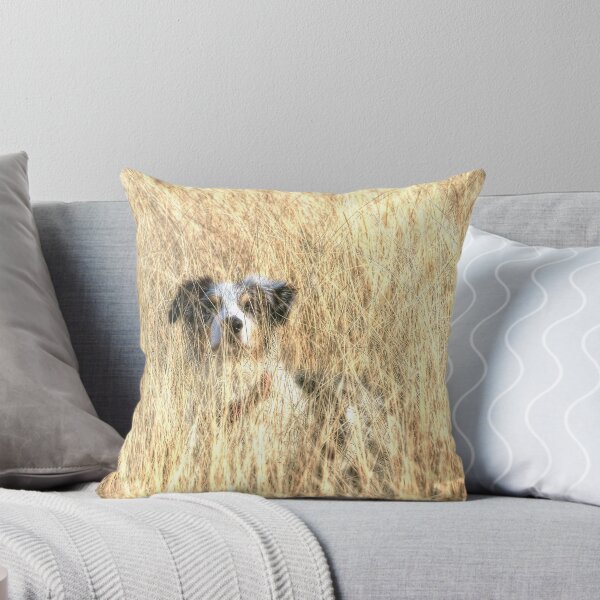 Item preview, Hide and Seek designed and sold by Michael Schaefer.