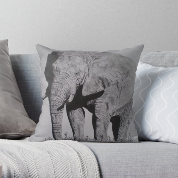 No Worries !! Throw Pillow