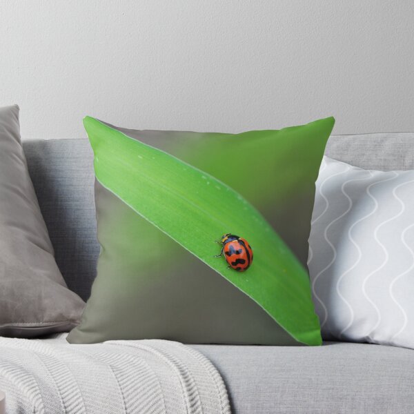 Item preview, Lady Beetle designed and sold by Claire  Farley.