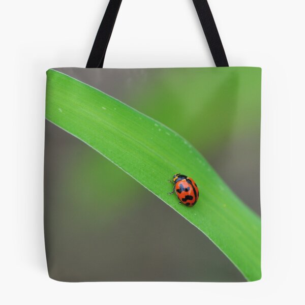 Item preview, Lady Beetle designed and sold by Claire  Farley.