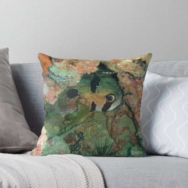 Item preview, Hiding Masked Porcupine Fish designed and sold by Richard Shakenovsky.