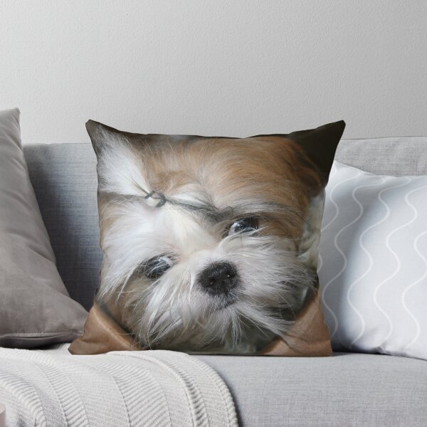 Item preview, Lola in a box.  designed and sold by Alexandra Wise-Brogna.