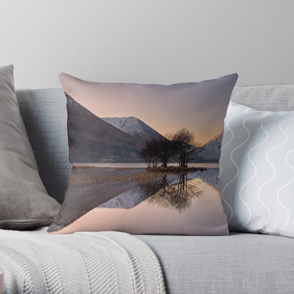 Reflections Throw Pillow