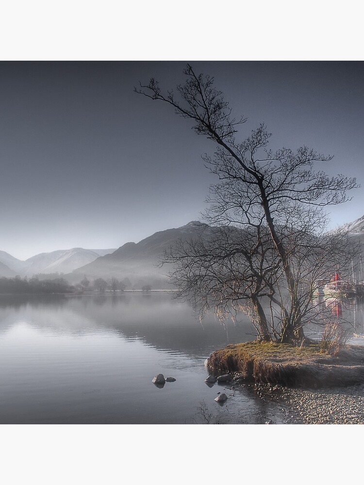 Winters Morning by tontoshorse
