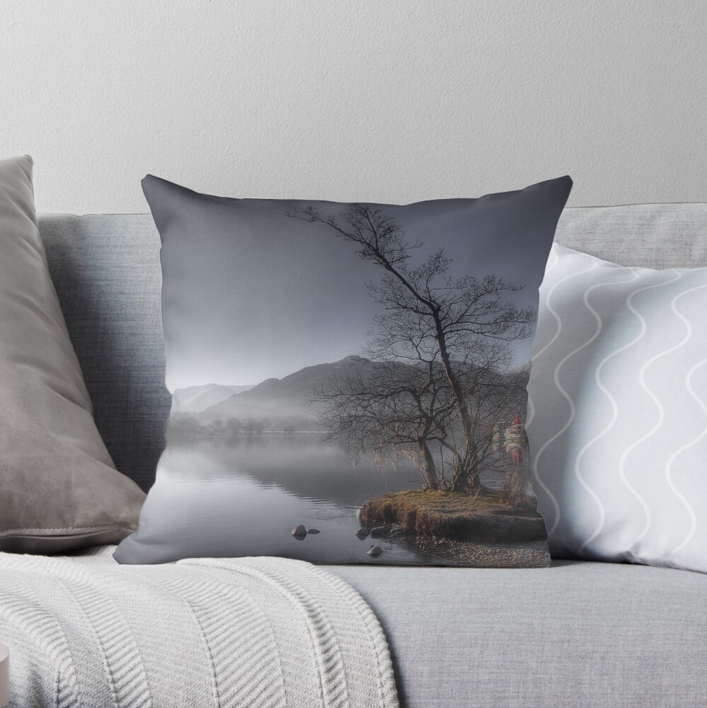 Winters Morning Throw Pillow