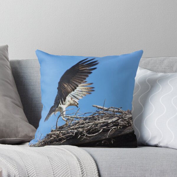 Item preview, Perfect Landing designed and sold by byronbackyard.