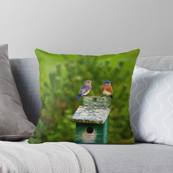 Item preview, Hello Sweetie! designed and sold by BigD.